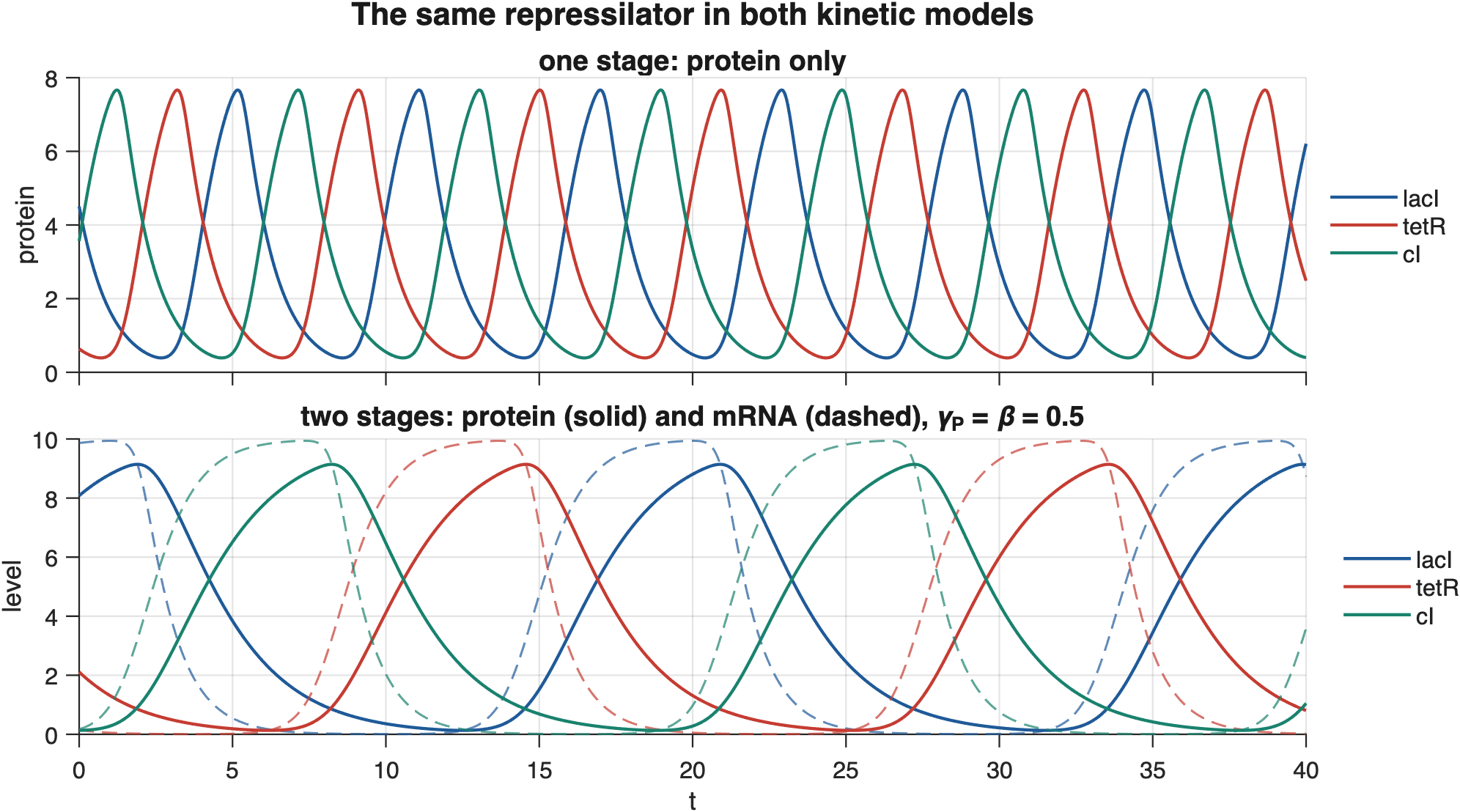 The repressilator in both models. The mRNA stage adds a lag between each transcript and its protein and lengthens the period; with slow proteins the mRNA traces become nearly square because transcription saturates while the protein does the timing.