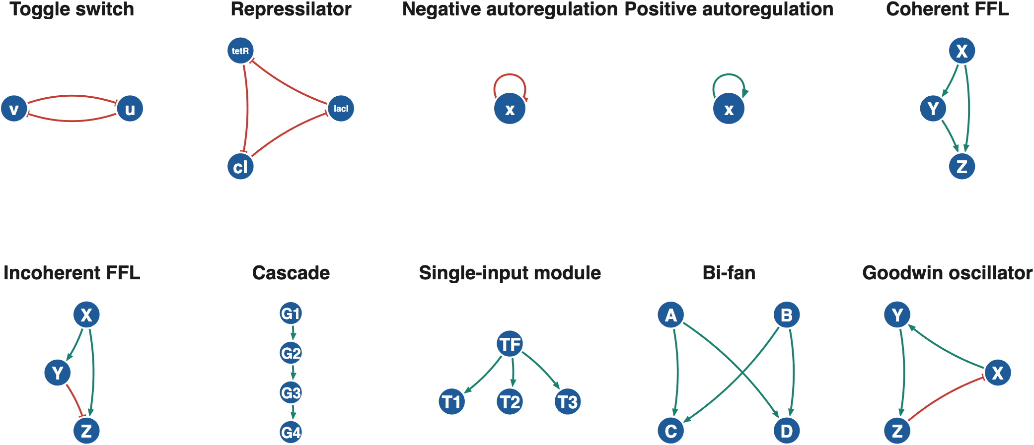 grn.plotMotifs(): every registered motif in pathway notation.
