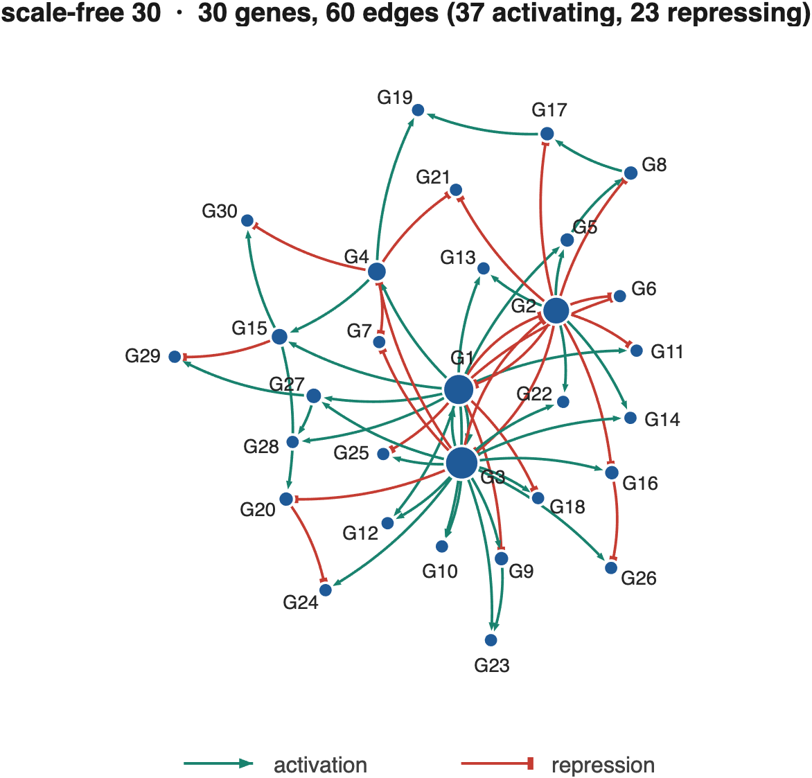 A 30-gene scale-free network drawn in pathway notation