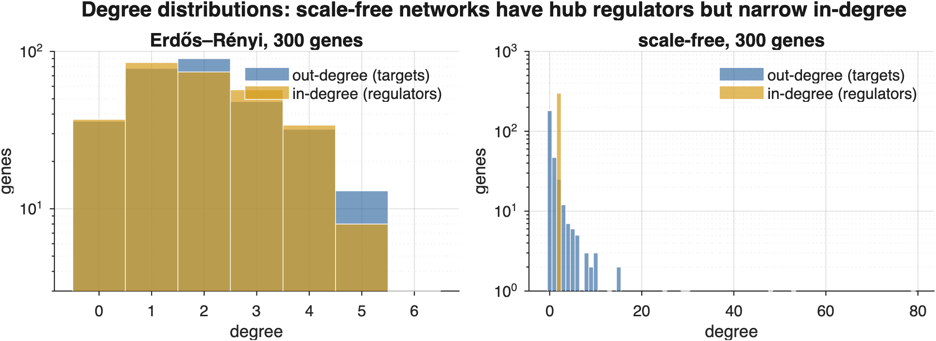 Out-degree (targets per gene) and in-degree (regulators per gene) at 300 genes. The scale-free generator produces hubs with tens of targets while keeping the in-degree narrow, which is how real transcription networks look.