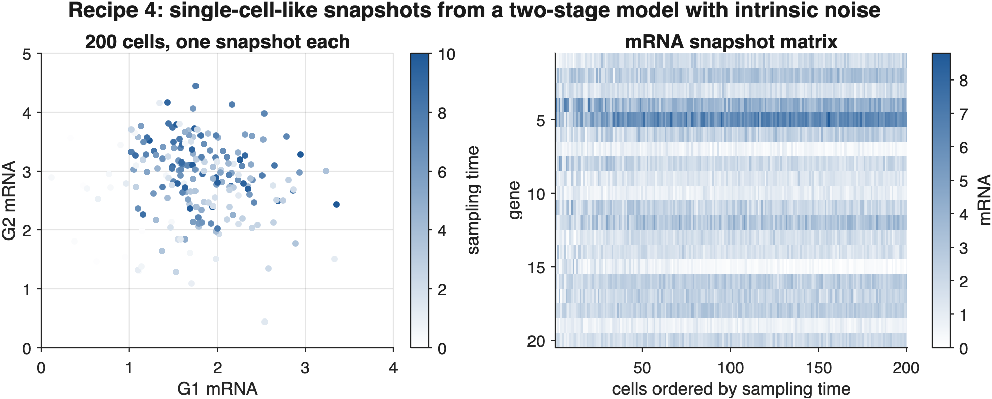 Recipe 4 output. Left: two genes across 200 cells, coloured by sampling time. Right: the snapshot matrix with cells ordered by their (hidden) sampling time.