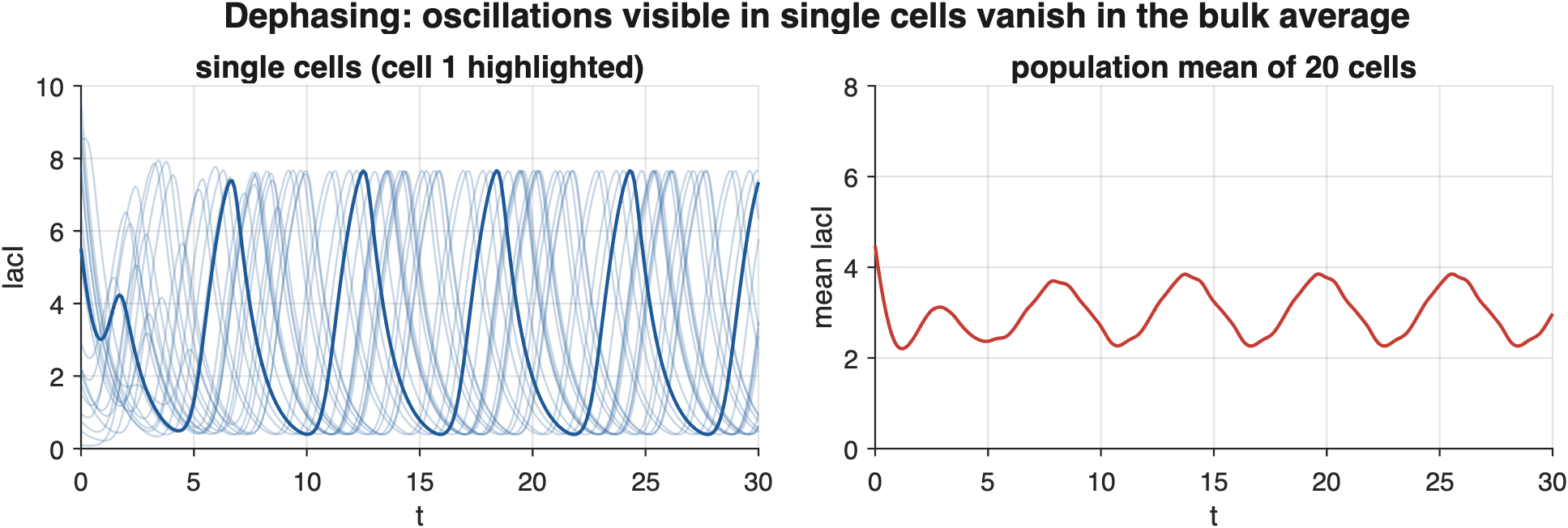 The same 20 cells: single traces on the left, the population mean on the right. Dephasing flattens the mean within two periods, which is exactly why bulk measurements of oscillating circuits look constant.