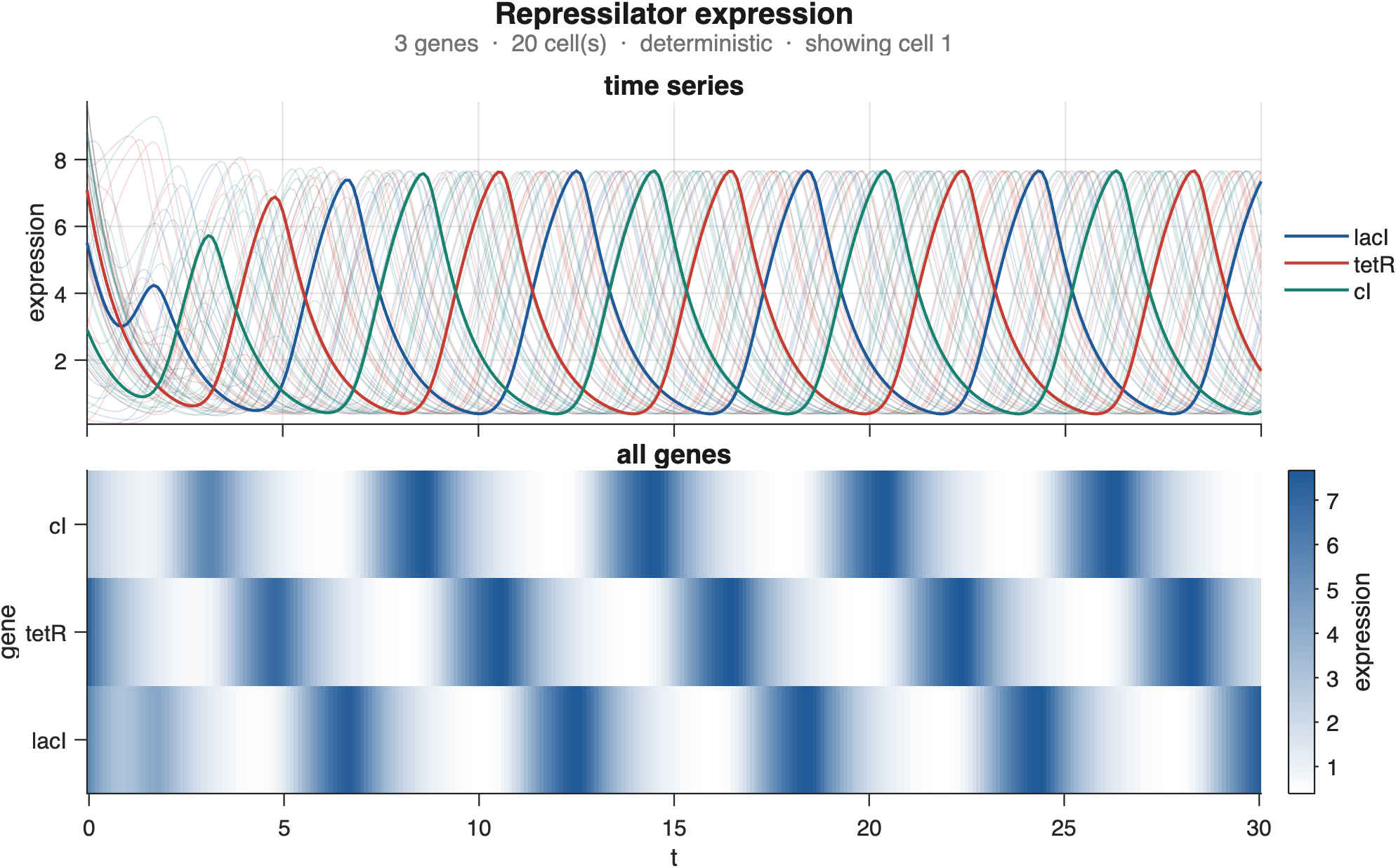 Twenty cells of the repressilator from random initial conditions. Cell 1 is drawn in full; the other 19 sit faintly behind it. Every cell oscillates with the same period but its own phase.