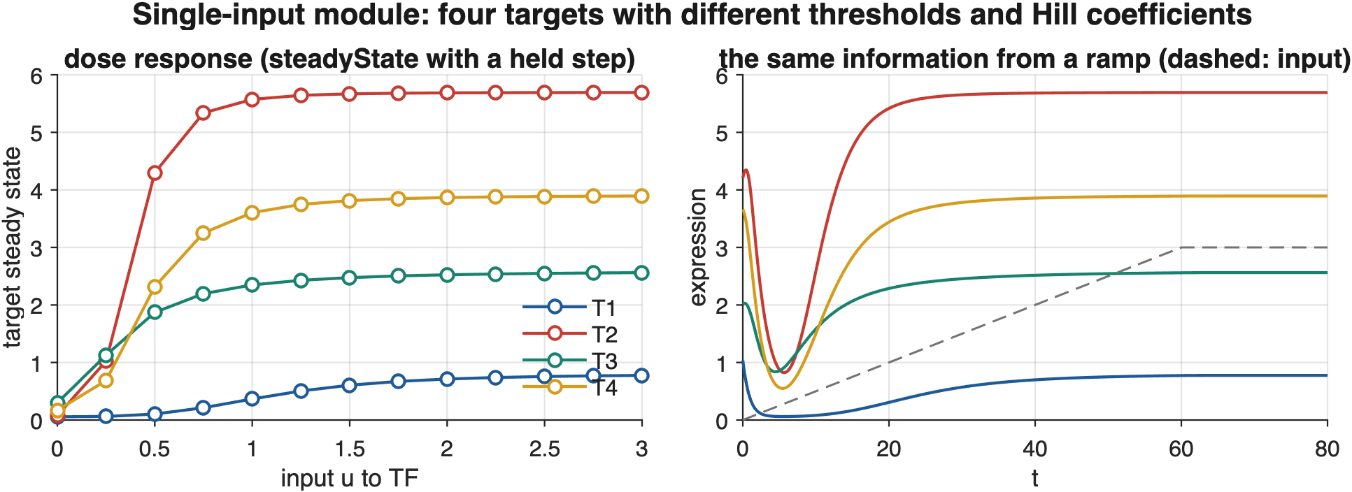 A single-input module driven from 0 to 3 times its normal rate. Left: steady-state dose response of the four targets, each with its own threshold and Hill coefficient. Right: the same information read dynamically from a slow ramp.