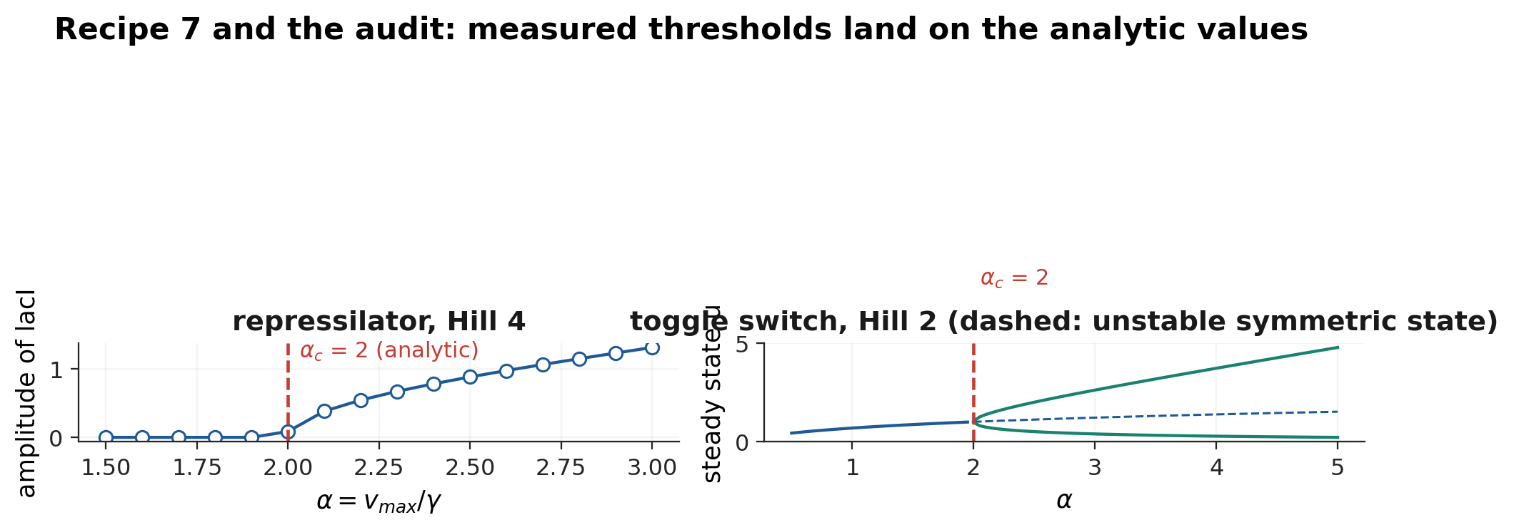 Two of the audited thresholds. Left: repressilator amplitude against alpha; oscillation starts at the analytic Hopf point alpha = 2. Right: toggle-switch steady states against alpha; the symmetric state (blue) loses stability at alpha = 2 and two branches (teal) appear.
