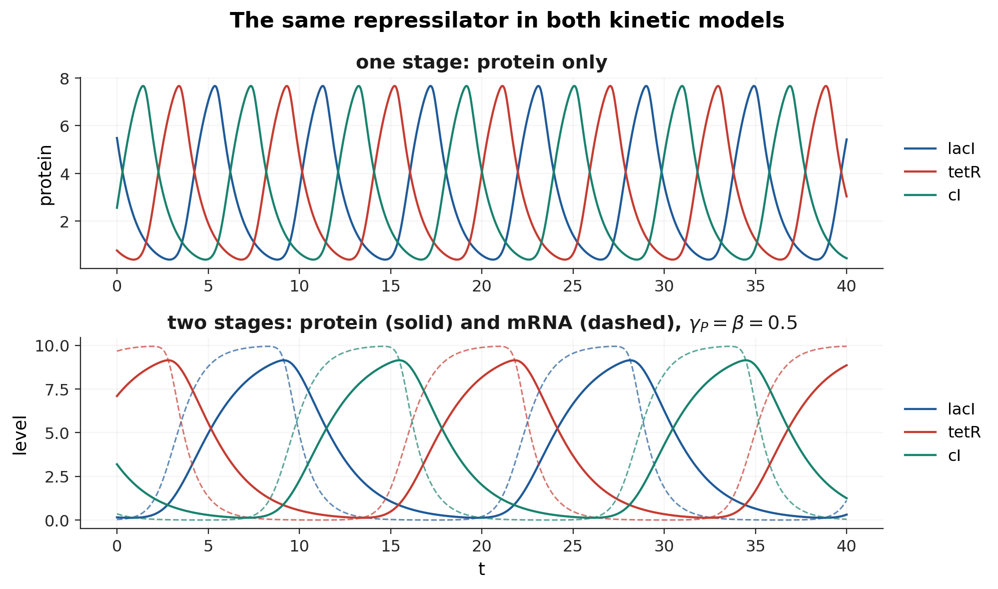 The repressilator in both models. The mRNA stage adds a lag between each transcript and its protein and lengthens the period; with slow proteins the mRNA traces become nearly square because transcription saturates while the protein does the timing.