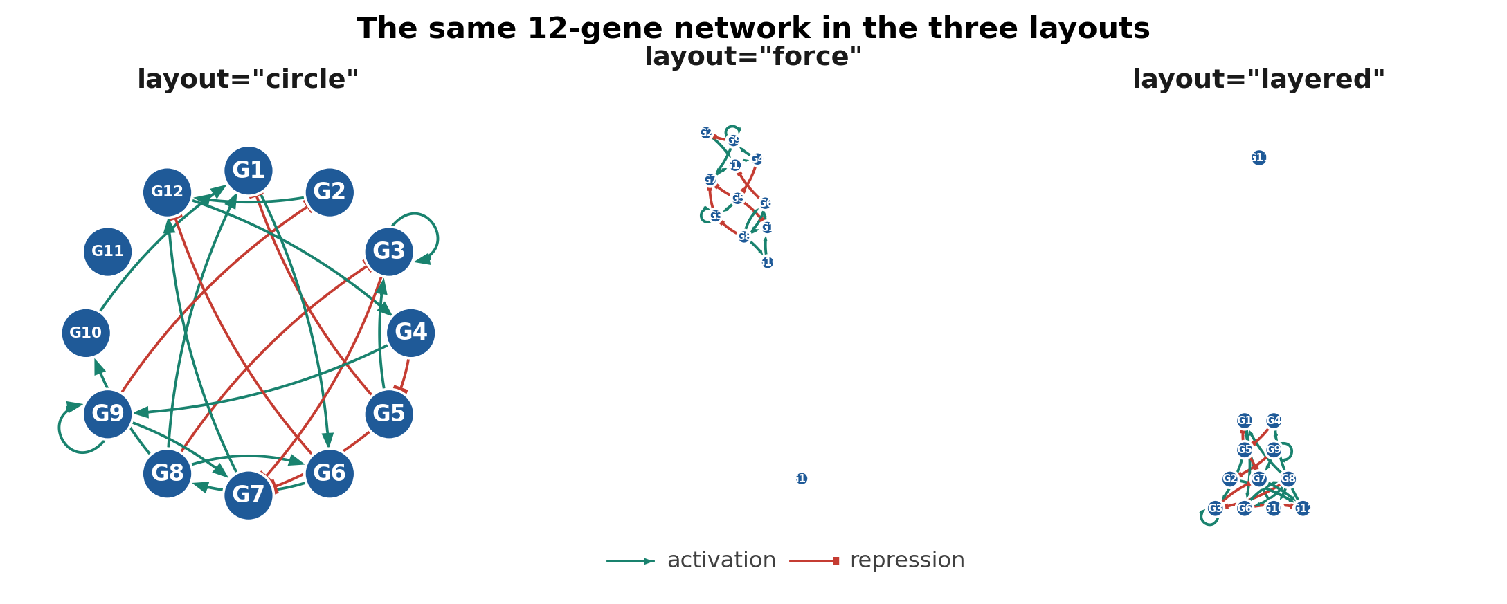 One 12-gene network in the three layouts. Circle keeps every node visible; force pulls connected genes together; layered puts regulators above their targets.