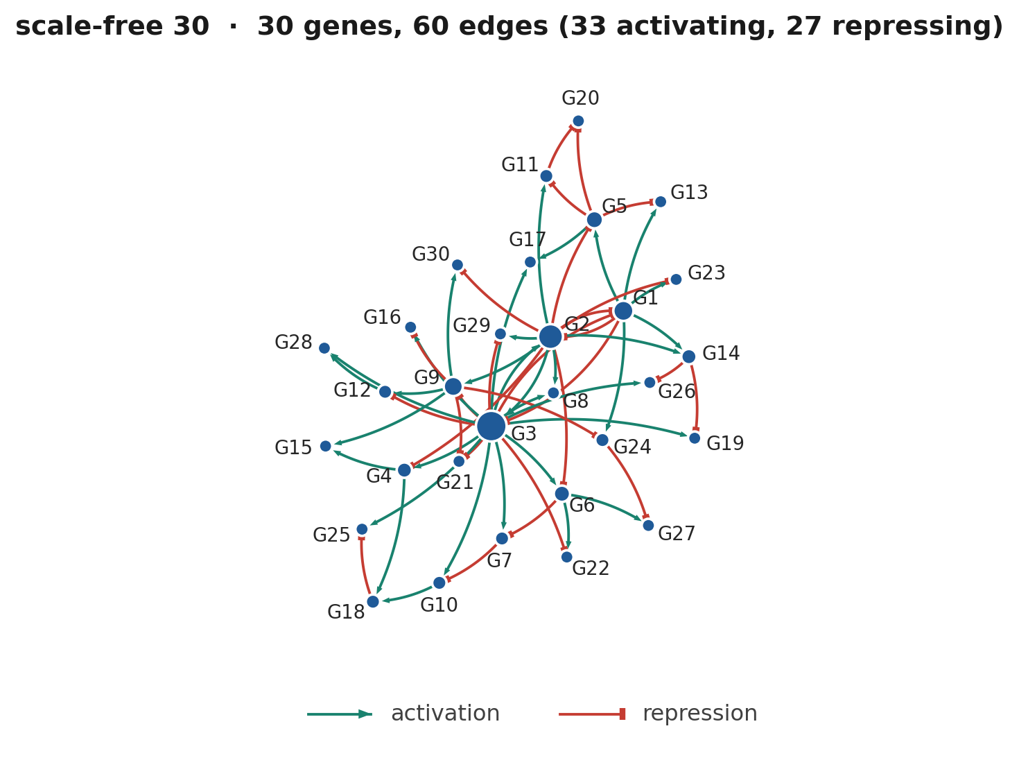A 30-gene scale-free network drawn in pathway notation
