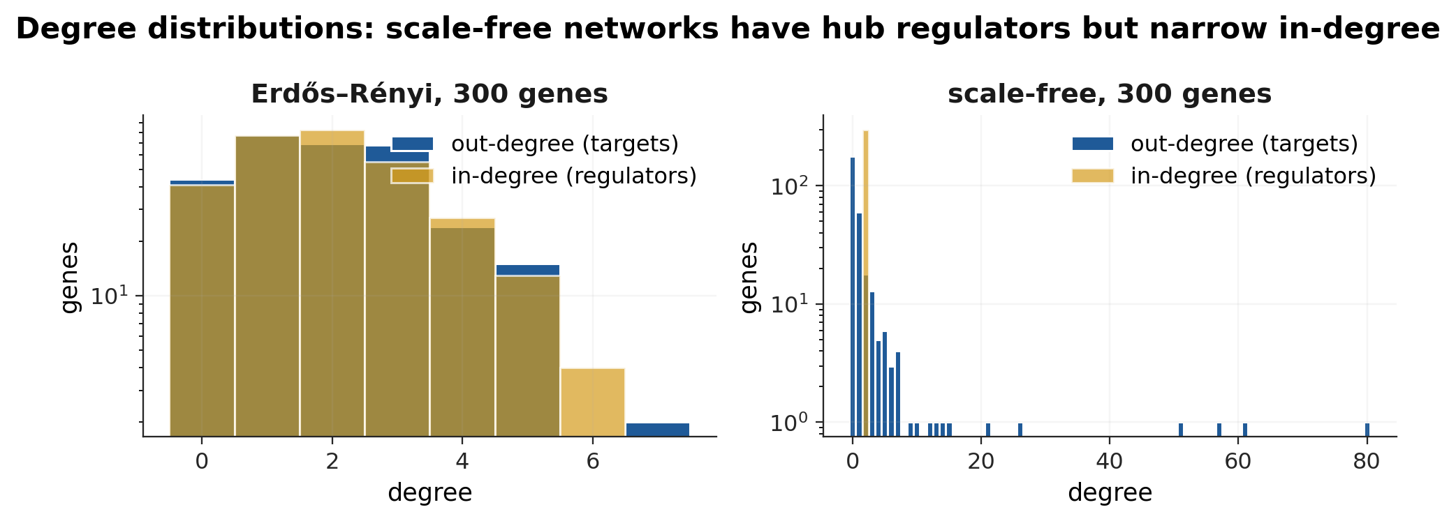 Out-degree (targets per gene) and in-degree (regulators per gene) at 300 genes. The scale-free generator produces hubs with tens of targets while keeping the in-degree narrow, which is how real transcription networks look.