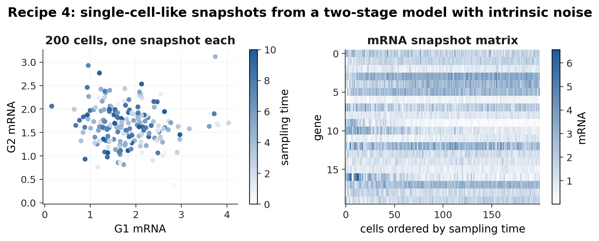 Recipe 4 output. Left: two genes across 200 cells, coloured by sampling time. Right: the snapshot matrix with cells ordered by their (hidden) sampling time.