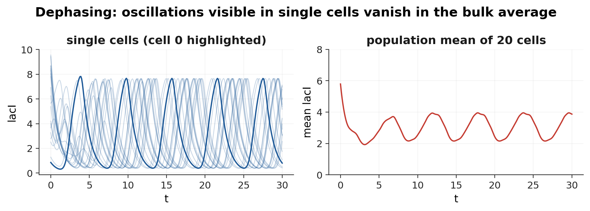 The same 20 cells: single traces on the left, the population mean on the right. Dephasing flattens the mean within two periods, which is exactly why bulk measurements of oscillating circuits look constant.