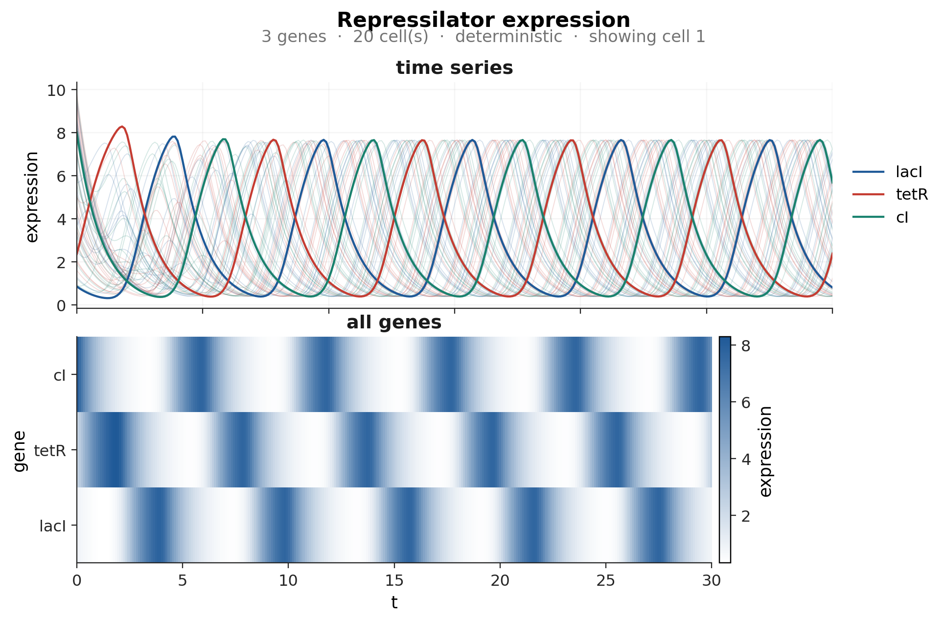 Twenty cells of the repressilator from random initial conditions. Cell 0 is drawn in full; the other 19 sit faintly behind it. Every cell oscillates with the same period but its own phase.